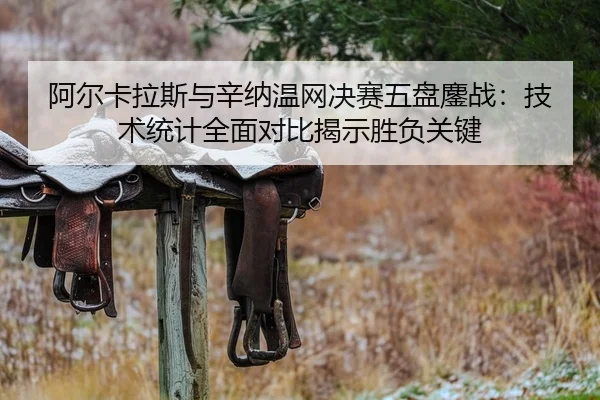 阿尔卡拉斯与辛纳温网决赛五盘鏖战：技术统计全面对比揭示胜负关键