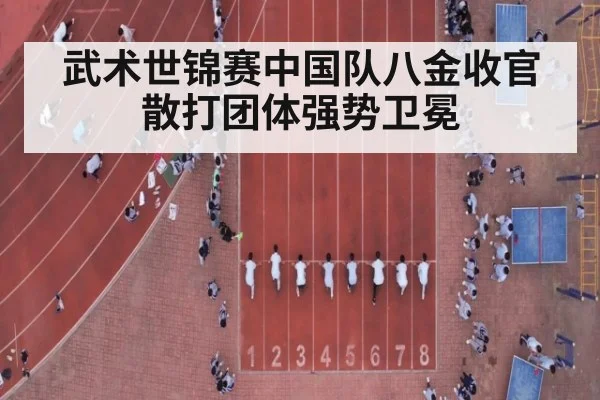 武术世锦赛中国队八金收官 散打团体强势卫冕