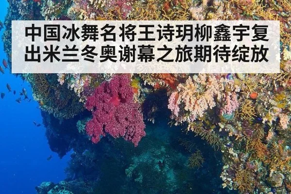 中国冰舞名将王诗玥柳鑫宇复出米兰冬奥谢幕之旅期待绽放